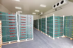 Teknologi Mesin Refrigerasi Komersial dan Cold Storage di Indonesia