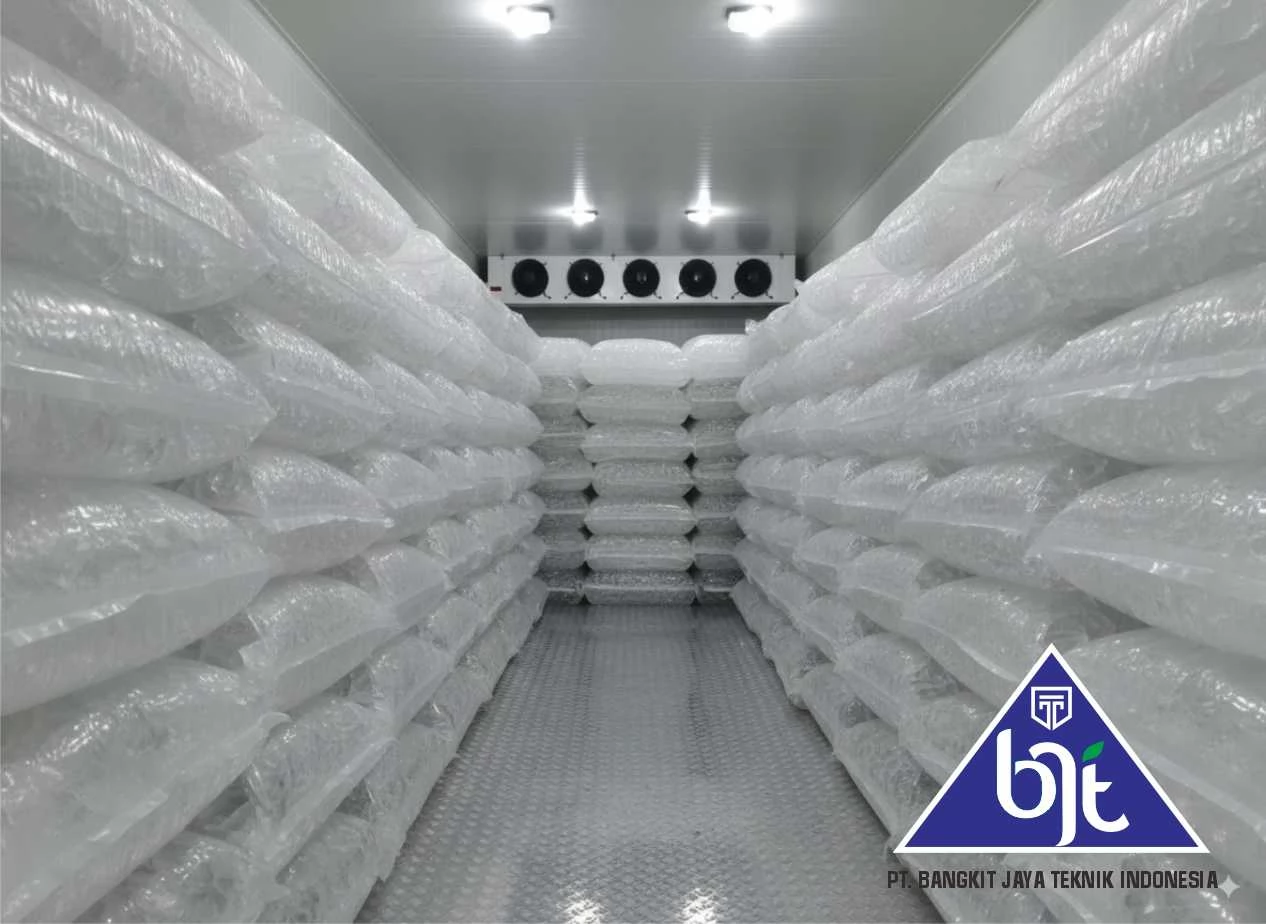 Cold Storage Freezer untuk simpan es kristal